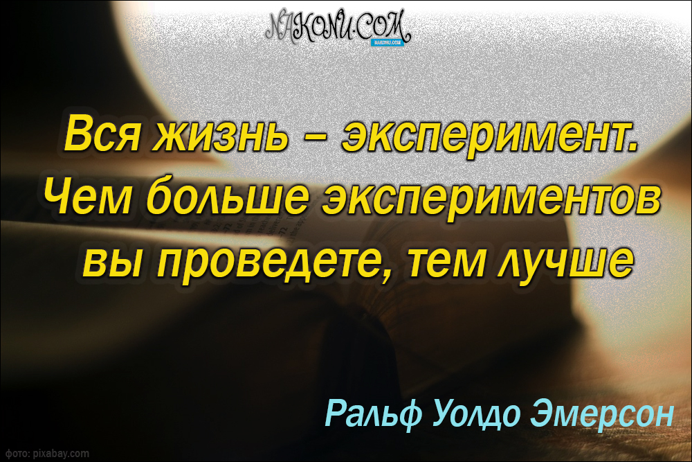 wisdom_31-05-2021_19