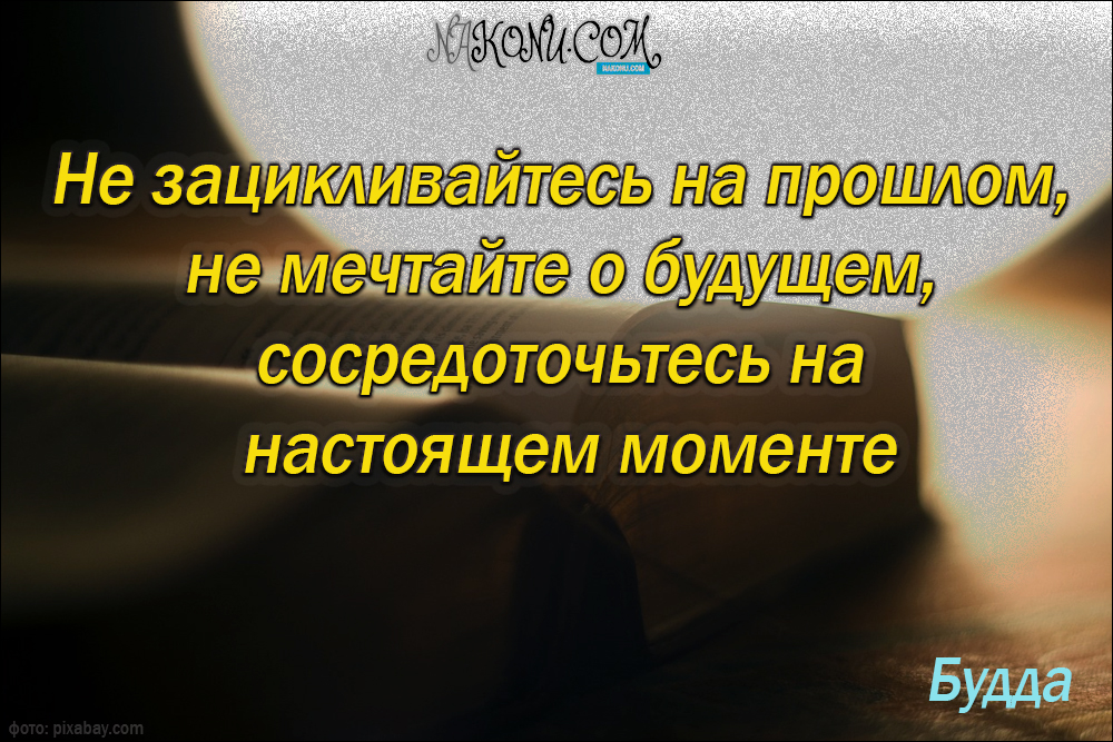 wisdom_31-05-2021_22