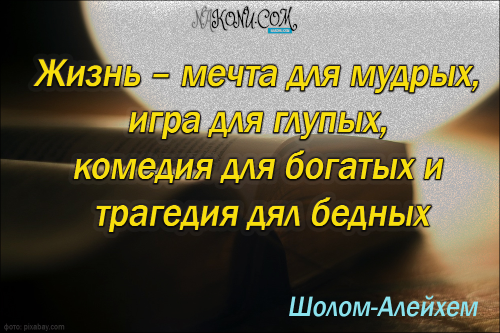 wisdom_31-05-2021_23