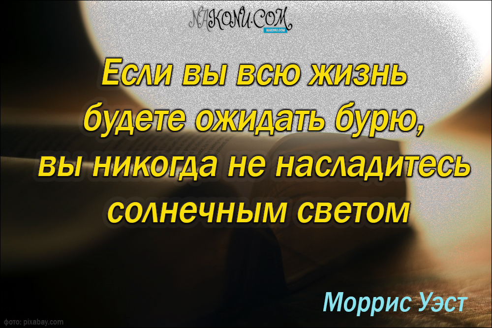 wisdom_31-05-2021_24