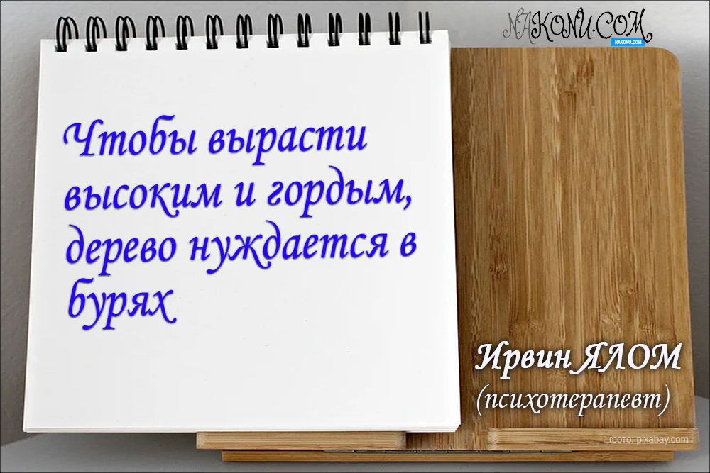 Irwin Yalom_15-06-2021_6