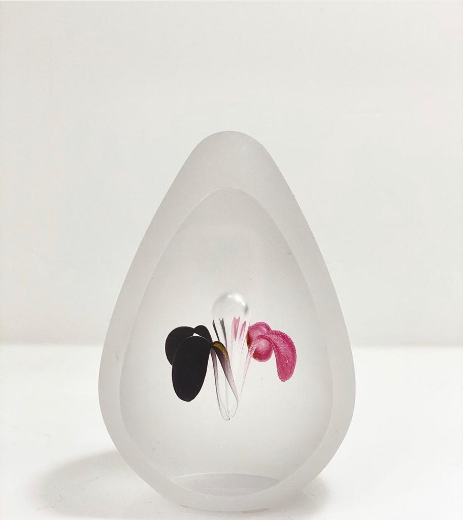 PHOTO-2021-05-06-12-22-57_2