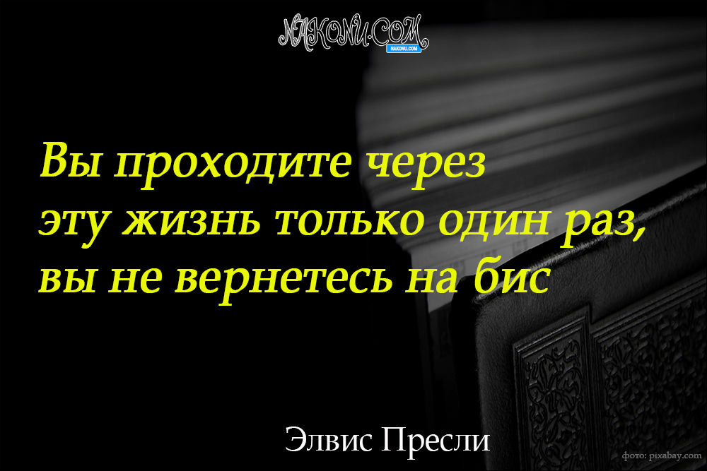 wisdom_22-06-2021_11