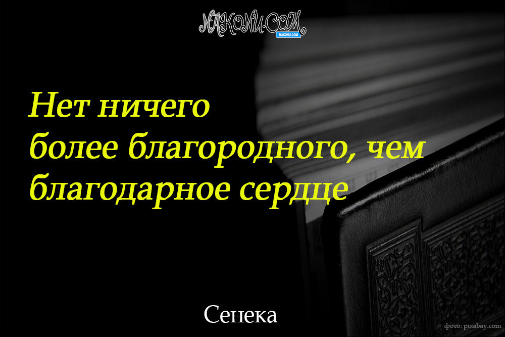wisdom_22-06-2021_13