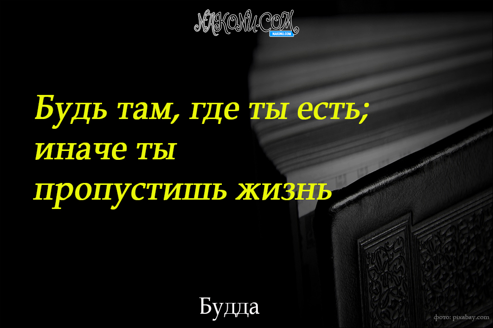 wisdom_22-06-2021_15