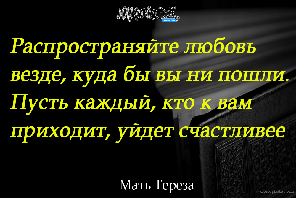 wisdom_22-06-2021_18