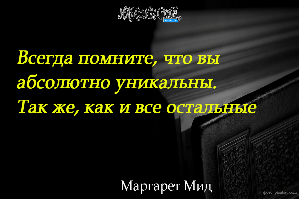 wisdom_22-06-2021_20