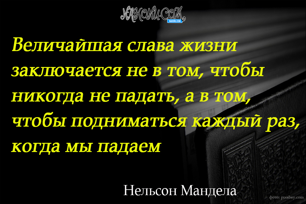 wisdom_22-06-2021_21