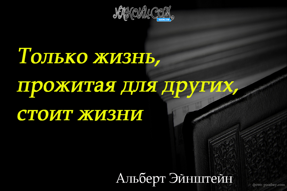 wisdom_22-06-2021_23