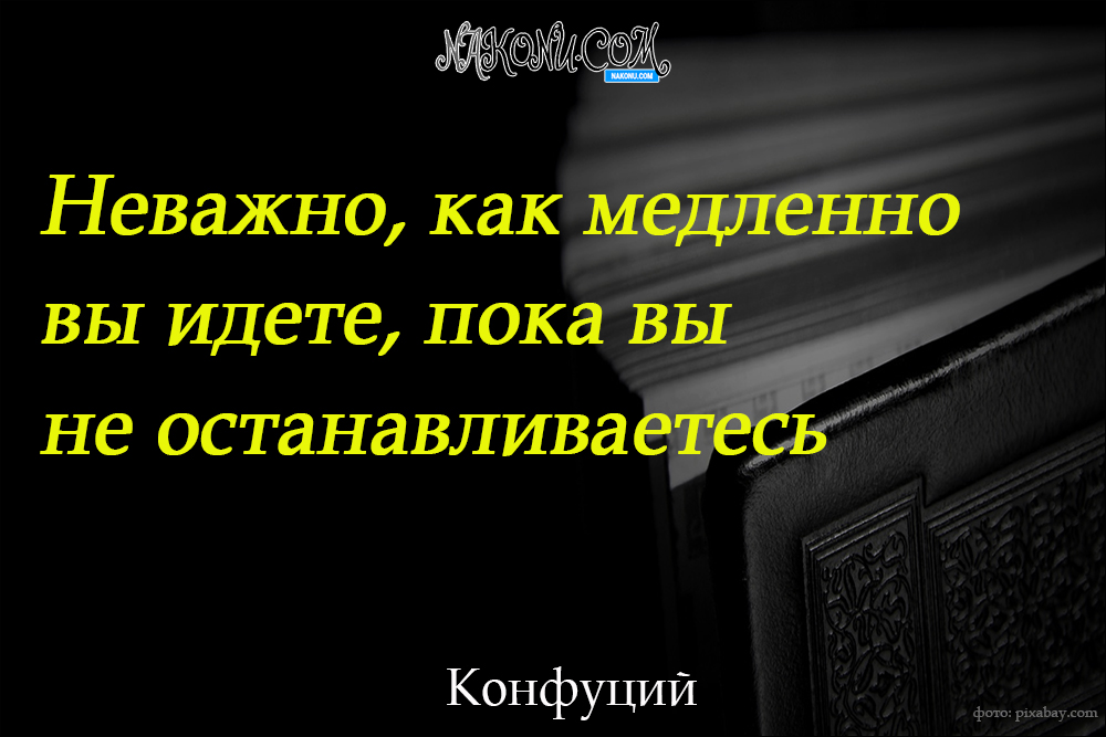 wisdom_22-06-2021_25