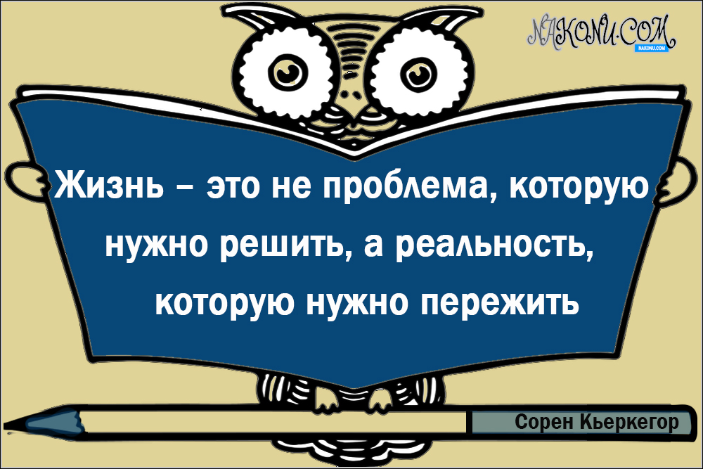 wisdom_06-07-2021_16