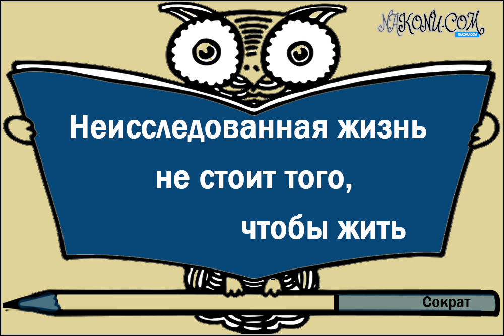 wisdom_06-07-2021_17