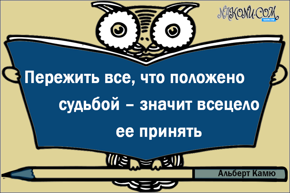 wisdom_06-07-2021_20