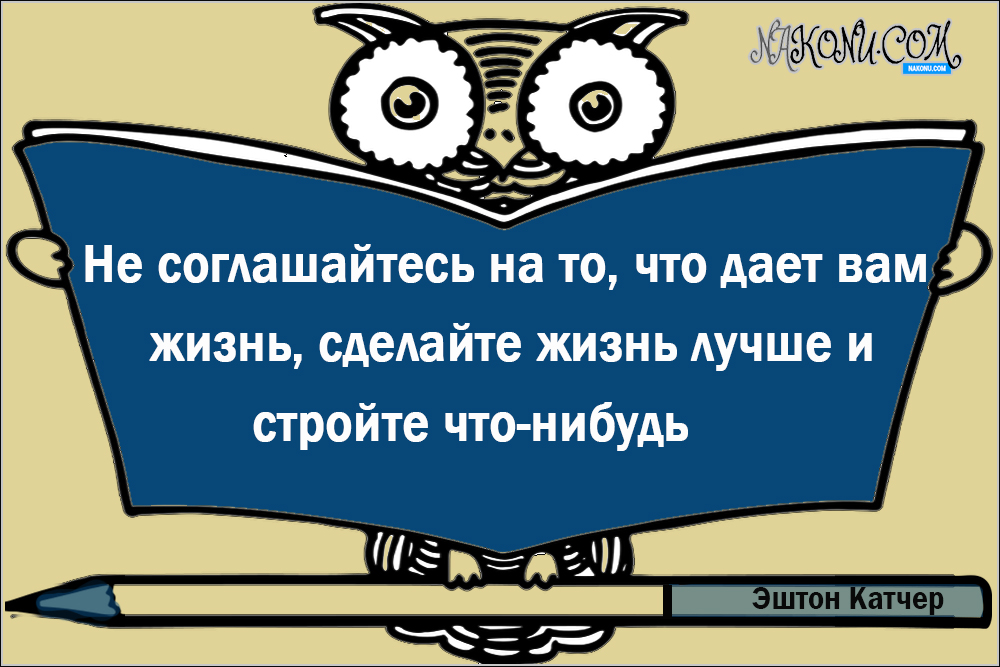 wisdom_06-07-2021_21