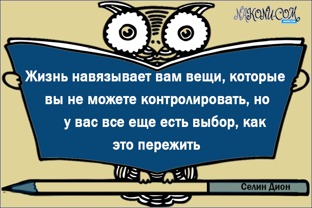 wisdom_06-07-2021_23